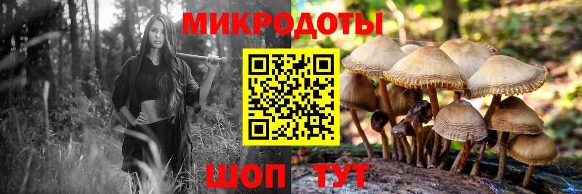 Псилоцибиновые грибы мухоморы Анапа